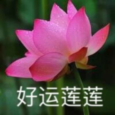 荣耀至尊手游下载